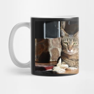 Brown Tabby Mug